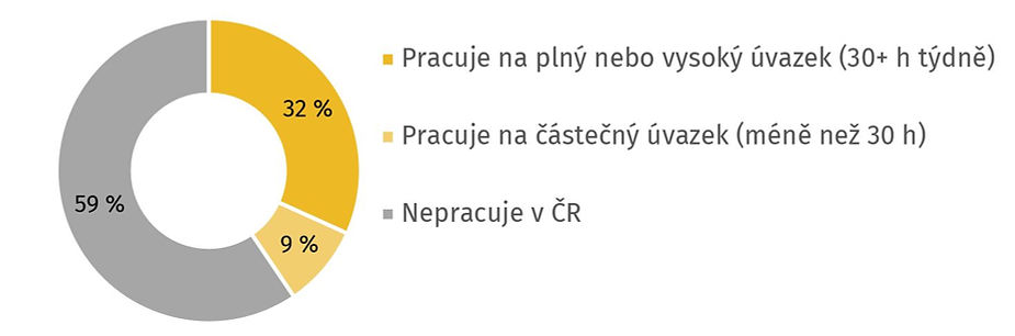Poznámka: N=1590. Znění otázek: Vykonáváte v současné době placenou práci? / Kolik hodin týdně obvykle trávíte prací v Česku?